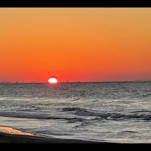 Meet your Posher, Gilfred